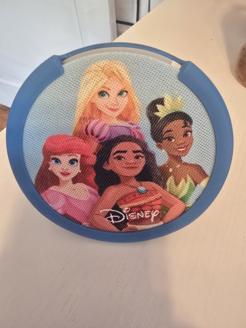 Amazon Echo Dot For Girls Blue With Disney Princesses